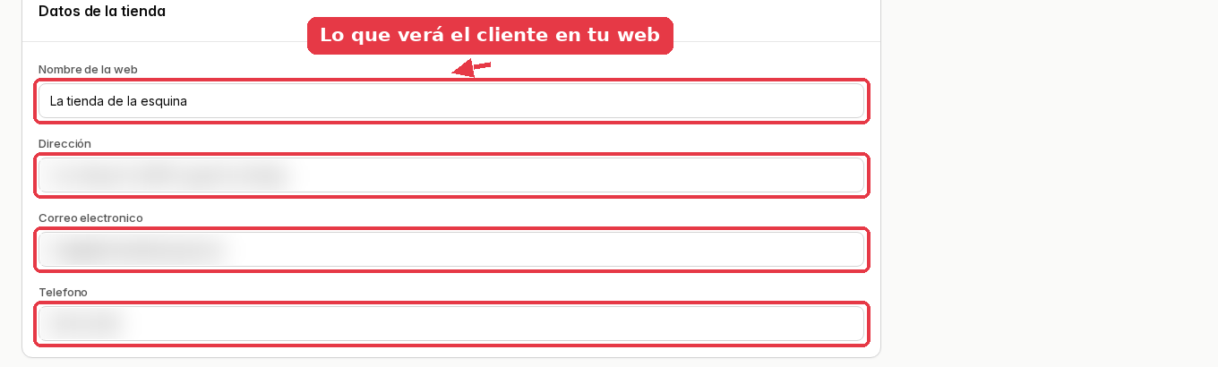 Campos de nombre de la web, dirección, correo electrónico y teléfono de la tienda.