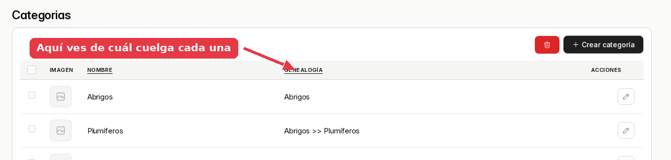 Listado de categorías con Abrigos y, debajo, Plumíferos con la genealogía Abrigos >> Plumíferos.» loading=»lazy»><figcaption>La columna Genealogía dice de cuál cuelga cada una.</figcaption></figure>
<div class=
