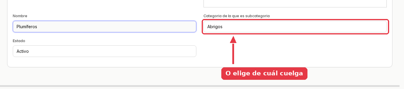 El mismo formulario con el nombre Plumíferos y la categoría Abrigos elegida como madre.