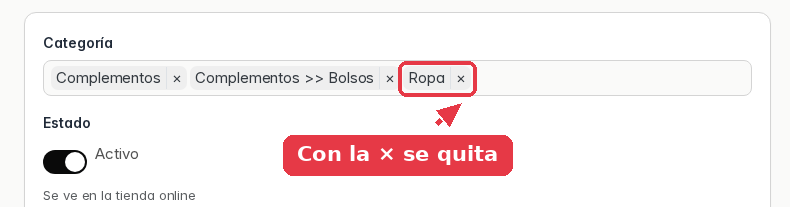 El campo Categoría con tres etiquetas, la nueva Ropa señalada con su aspa.