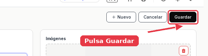 Parte superior de la ficha con el botón Guardar señalado, al lado de Cancelar y Nuevo.